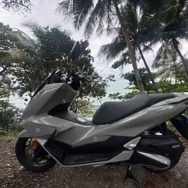 Honda PCX 160 NEW, 2025 год