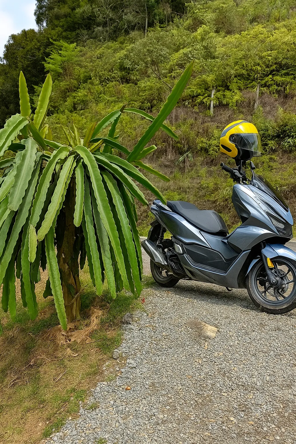 Аренда байка или скутера на Пхукете: Камала